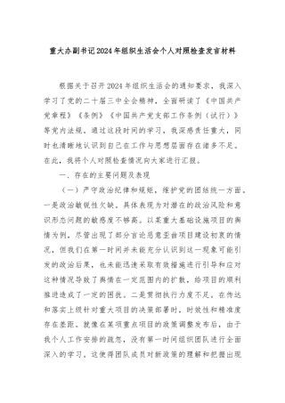 重大办副书记2024年组织生活会个人对照检查发言材料