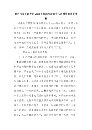 重大项目办副书记2024年组织生活会个人对照检查发言材料