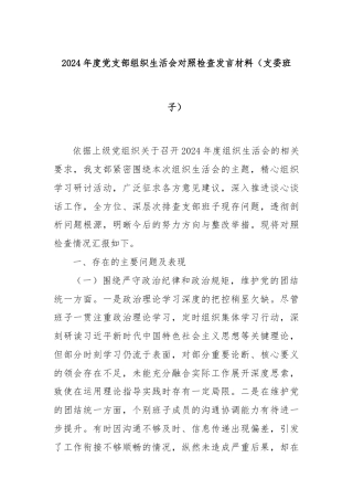 2024年度党支部组织生活会对照检查发言材料（支委班子）