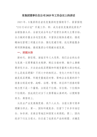 某集团公司董事长在公司2025年工作会议上的讲话：内外兼修提质效持续创新谋发展