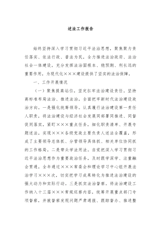 述法工作报告