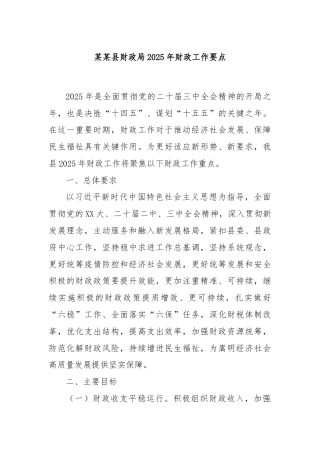 某某县财政局2025年财政工作要点
