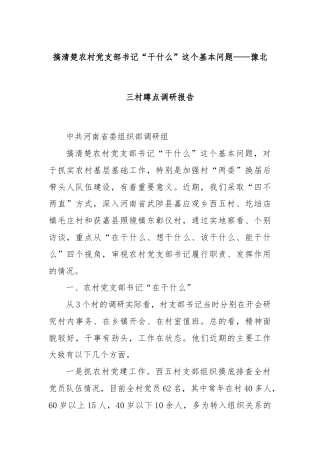 搞清楚农村党支部书记“干什么”这个基本问题——豫北三村蹲点调研报告