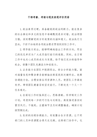 干部考察、考核与现实表现评价用语