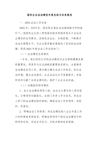 国有企业法治建设年度总结与未来规划