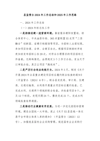 县监管办2024年工作总结和2025年工作思路