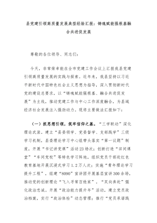 县党建引领高质量发展典型经验汇报：铸魂赋能强根基融合共进促发展