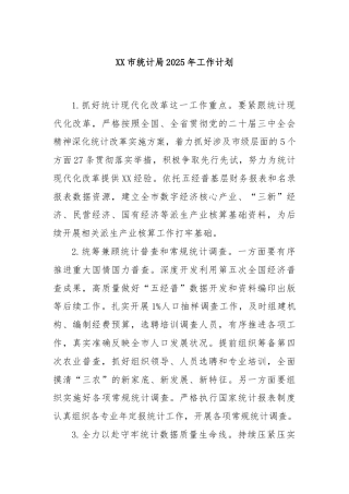 XX市统计局2025年工作计划