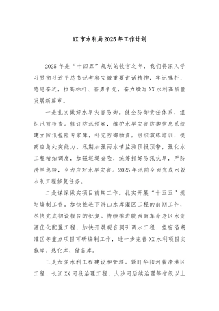 XX市水利局2025年工作计划