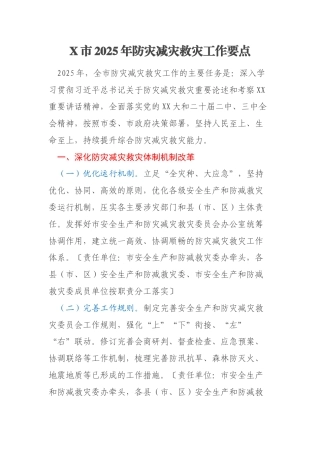 X市2025年防灾减灾救灾工作要点