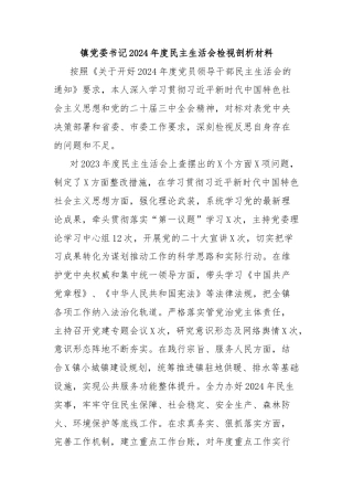 镇党委书记2024年度民主生活会检视剖析材料