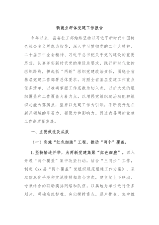 新就业群体党建工作报告