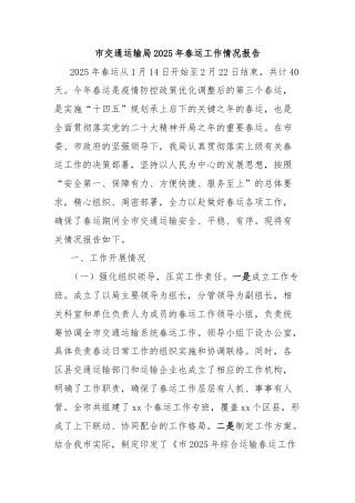 市交通运输局2025年春运工作情况报告