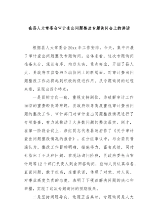 在县人大常委会审计查出问题整改专题询问会上的讲话