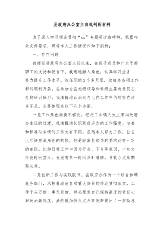 县政府办公室主自我剖析材料
