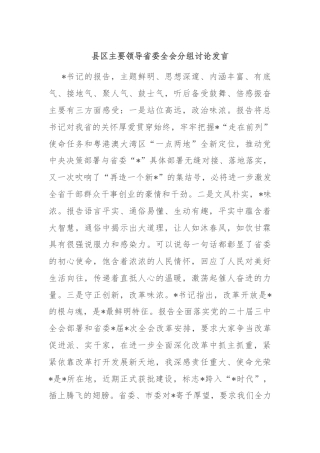 县区主要领导省委全会分组讨论发言