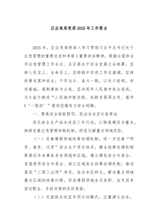 区应急局党委2025年工作要点