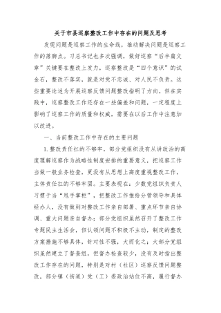 关于市县巡察整改工作中存在的问题及思考