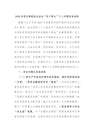 2024年党支部组织生活会“四个带头”个人对照发言材料