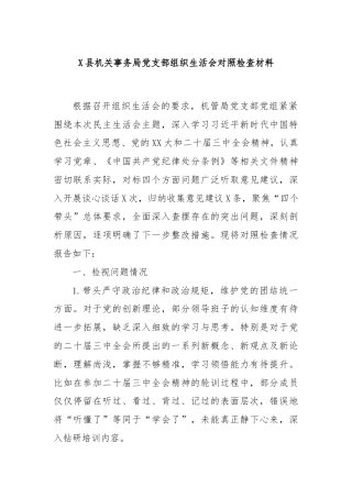X县机关事务局党支部组织生活会对照检查材料