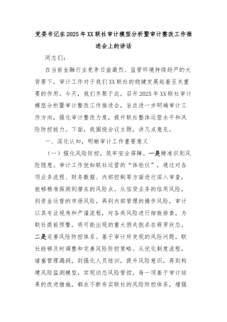 党委书记在2025年XX联社审计模型分析暨审计整改工作推进会上的讲话