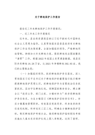 关于耕地保护工作报告