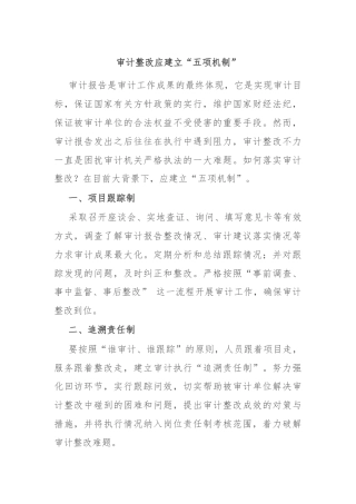 审计整改应建立“五项机制”