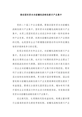 推动国有资本向前瞻性战略性新兴产业集中