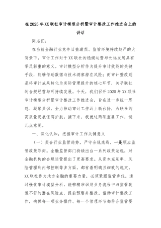 在2025年XX联社审计模型分析暨审计整改工作推进会上的讲话