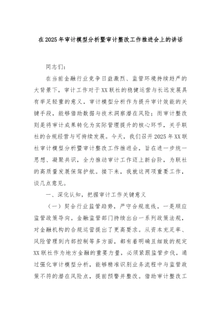 在2025年审计模型分析暨审计整改工作推进会上的讲话