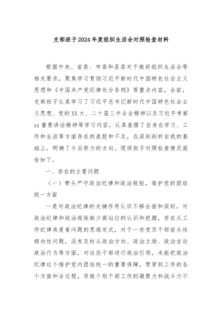 支部班子2024年度组织生活会对照检查材料