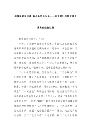 铸魂赋能强根基 融合共进促发展——县党建引领高质量发展典型经验汇报