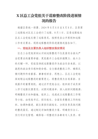 X区总工会党组关于巡察整改阶段进展情况的报告
