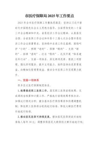 市医疗保障局2025年工作要点