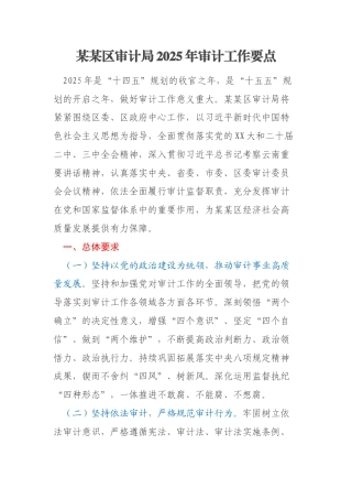 某某区审计局2025年审计工作要点