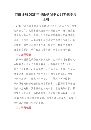市审计局2025年理论学习中心组专题学习计划