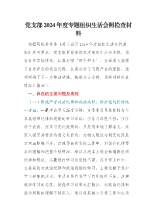 党支部2024年度专题组织生活会照检查材料