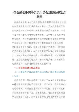 党支部支委班子组织生活会对照检查发言材料