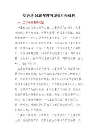 综合科2025年度务虚会汇报材料