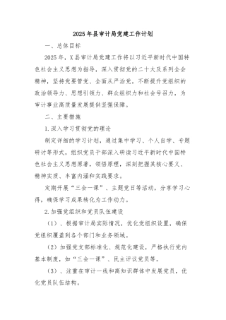 2025年县审计局党建工作计划