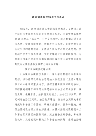 XX市司法局2025年工作要点