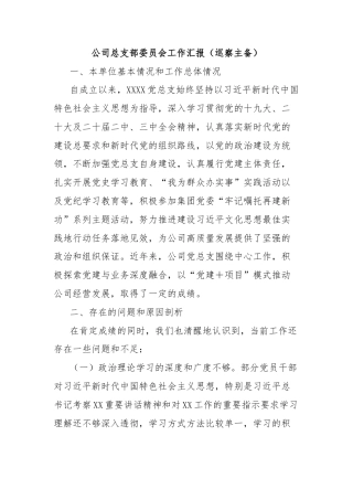公司总支部委员会工作汇报（巡察主备）