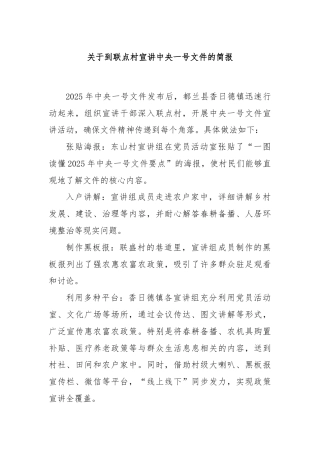 关于到联点村宣讲中央一号文件的简报