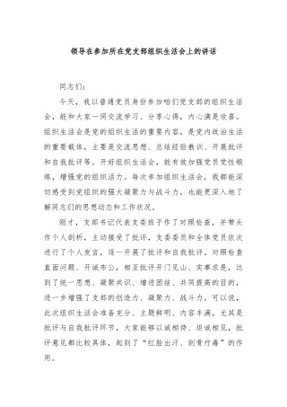 领导在参加所在党支部组织生活会上的讲话