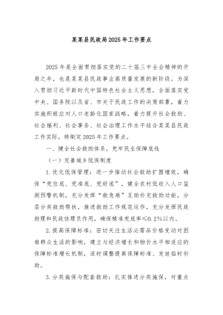 某某县民政局2025年工作要点