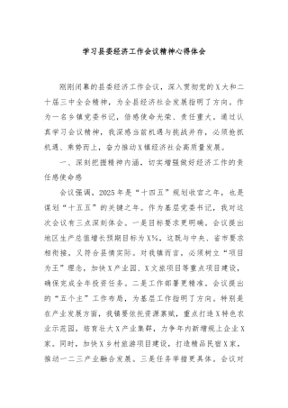 学习县委经济工作会议精神心得体会