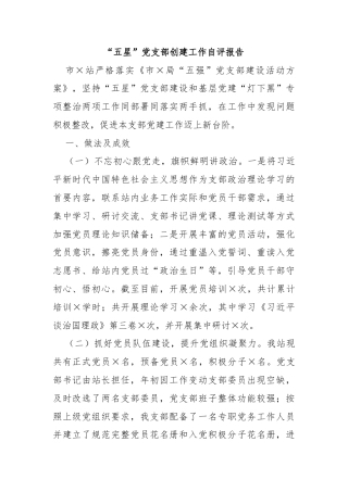 “五星”党支部创建工作自评报告