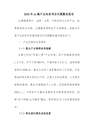 2025年xx镇产业扶贫项目问题整改报告