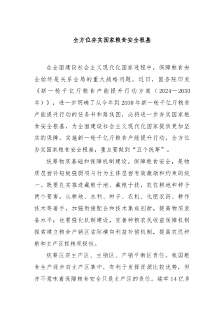 全方位夯实国家粮食安全根基