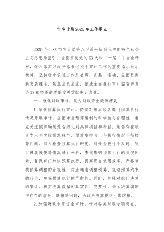 市审计局2025年工作要点